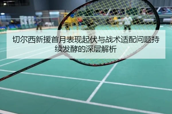 切尔西新援首月表现起伏与战术适配问题持续发酵的深层解析