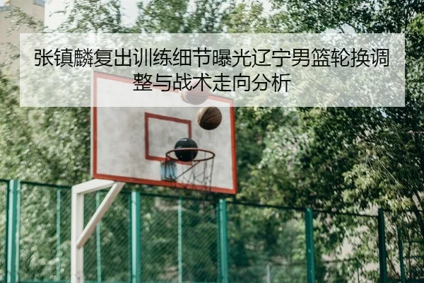 张镇麟复出训练细节曝光辽宁男篮轮换调整与战术走向分析